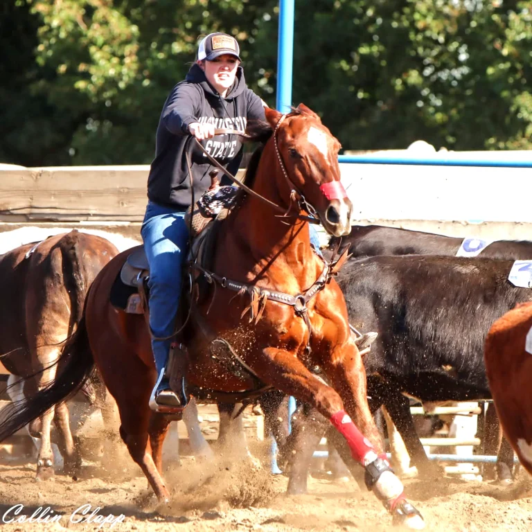Natures Rein - CBD - Shalaina