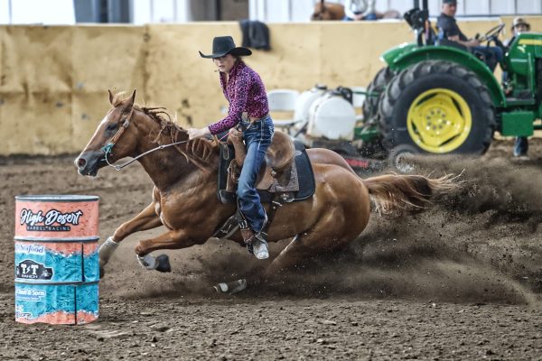 Nature's Rein - HDBR Finals