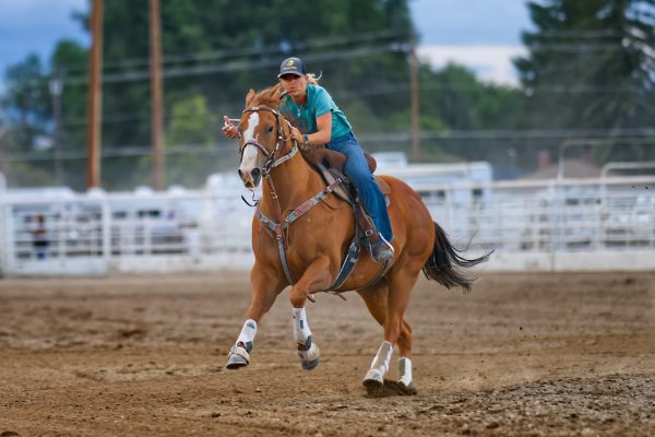 Nature's Rein - CBD - Cantastic
